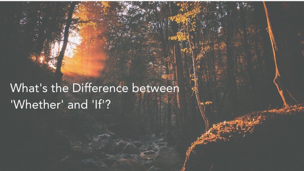 Blog Article Thumbnail